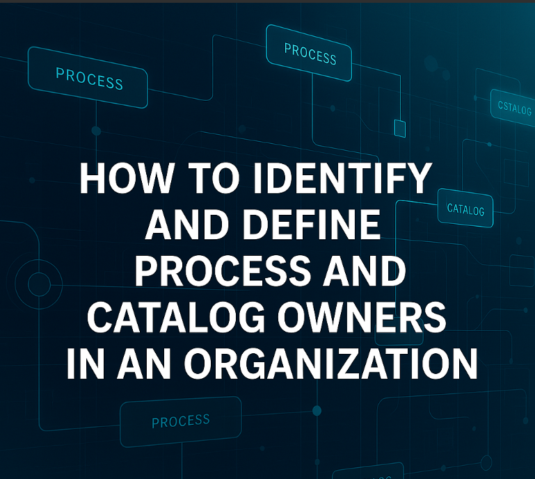 Cómo identificar y definir propietarios de procesos y catálogos en una organización